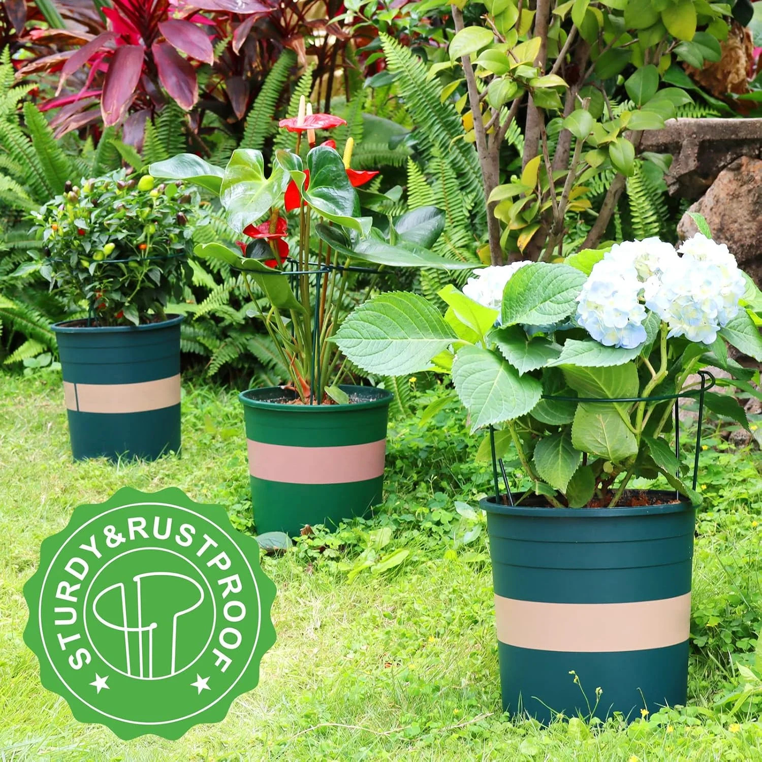 LEOBRO Plant Support Plant Stakes, 6pcs Peony Cages and Supports, Metal Garden S