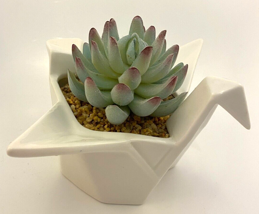 Origami Swan Faux Succulent White Ceramic Francesca’s 7.5″