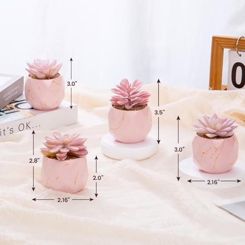 ZENIDA Artificial Succulent Plants in 4 Pink Ceramic Pots, Cute Fake Plants