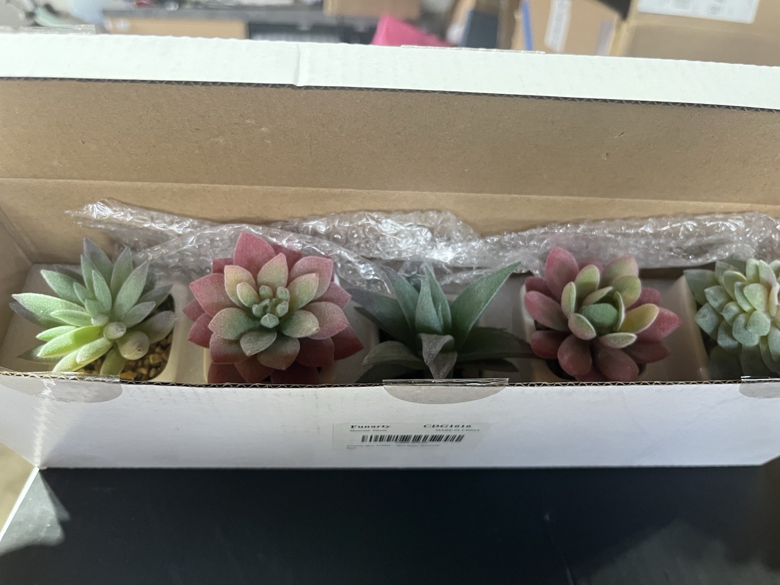 FUNARTY 5pcs Artificial Succulent Plants, Small Fake Desk Plants Mini Succulents