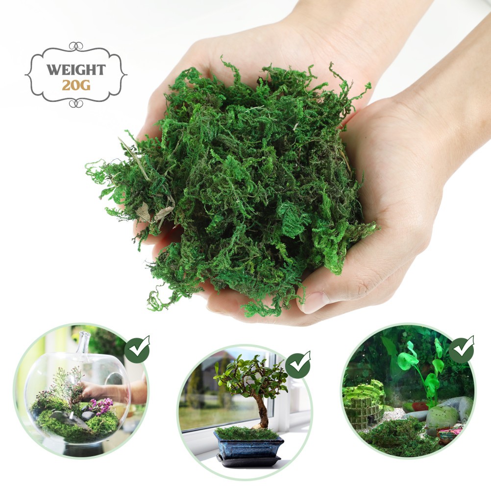 1 Pack Reusable Artificial Moss for Bonsai Crafts and Plant Centerpieces