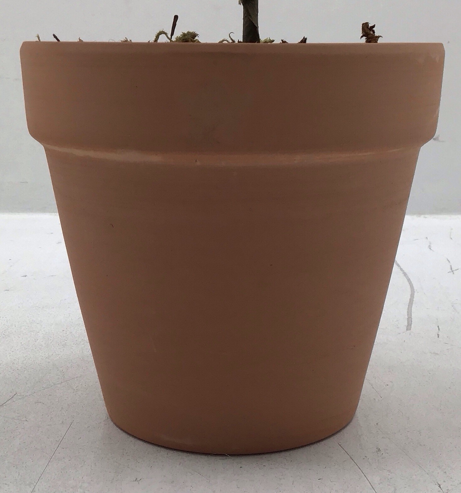 Transpac Faux Lemon Tree in Terracotta Pot Tabletop Plant 20 Inches Tall