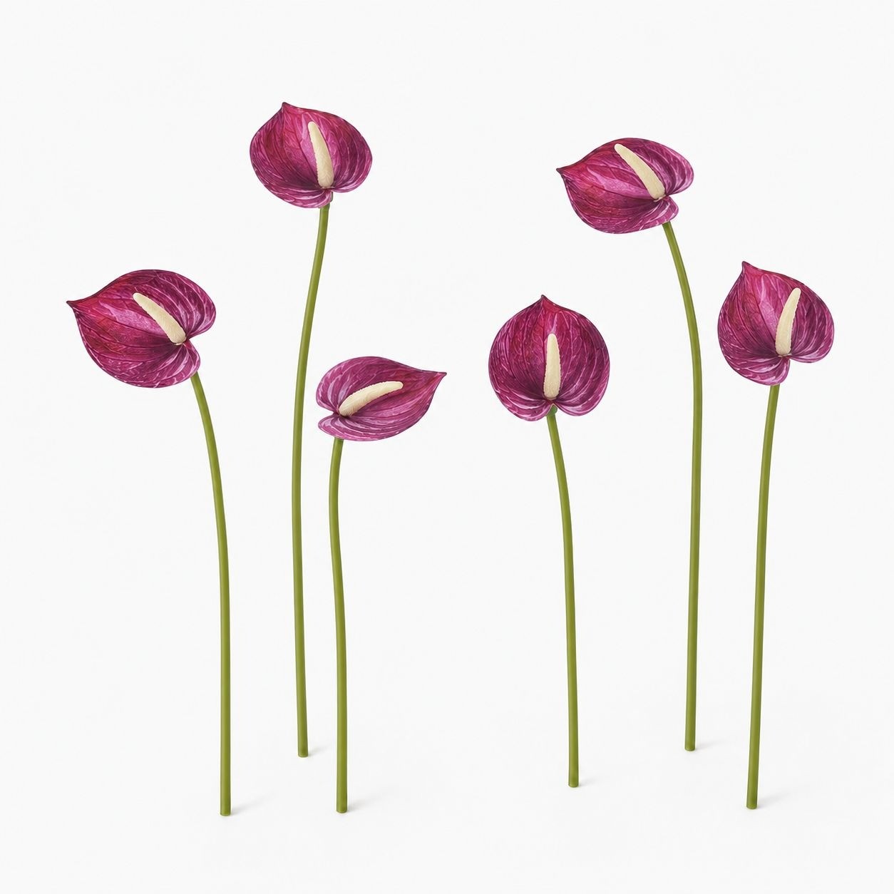 Plum Real Touch Artificial Anthurium Stems, Set of 6, 11 Inch