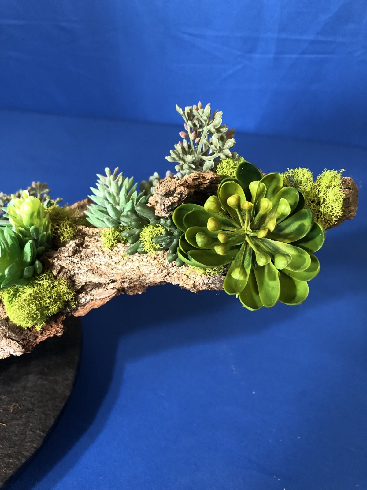 Artificial Succulent Air Plant Home Office Mounted on Real Wood Bark and Stone