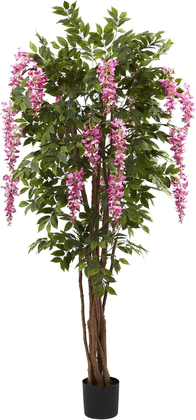 6.5Ft. Wisteria Silk Tree