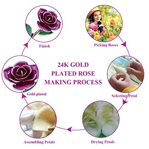ZJchao 24K Purple Rose for Her, Eternal Eternity Love Real Gold Plated Rose