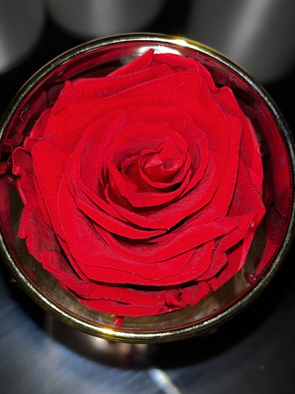 Preserved Real Rose – Single Eternal Rose (Light Red)