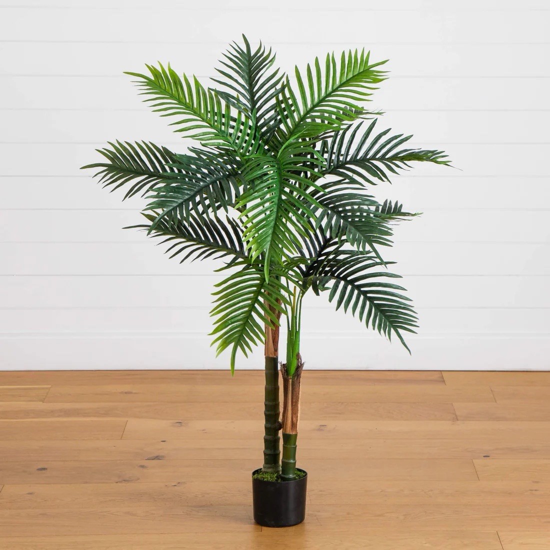 4′ UV Resistant Artificial Double Robellini Palm Tree (Indoor/Outdoor)