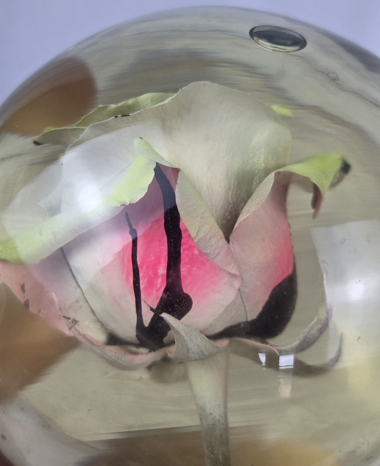 Vintage Forever Yellow/Pink Rose In Glass Ball Water Dome Globe Large 6.5″