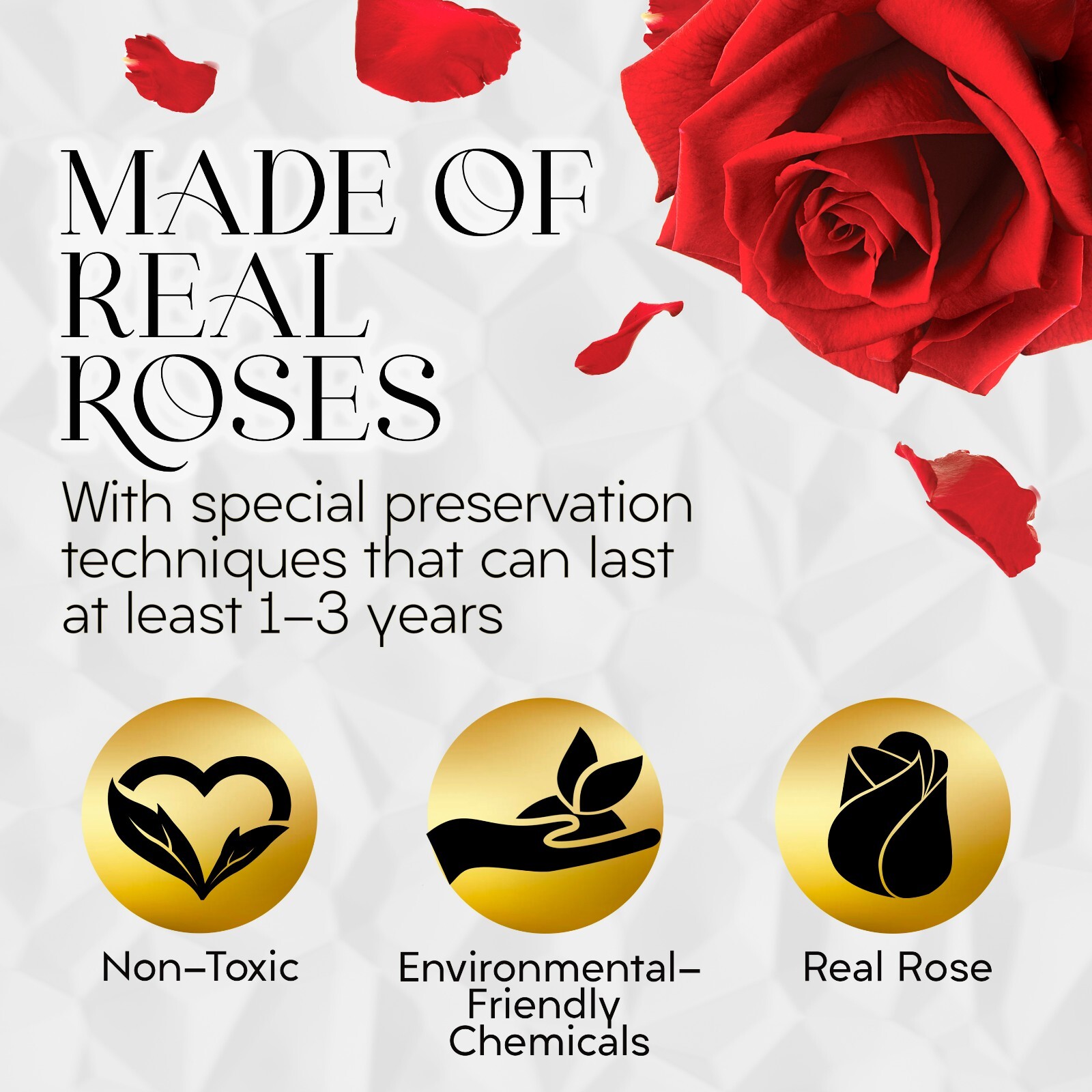 Glamour Boutique Forever Flower Gift Box: 7 Real Preserved Roses in A Box