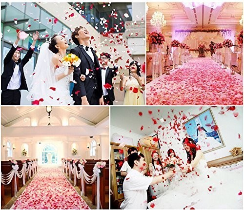 1000 PCS Artificial Silk Rose Petals Decoration Wedding Party Color Fuchsia