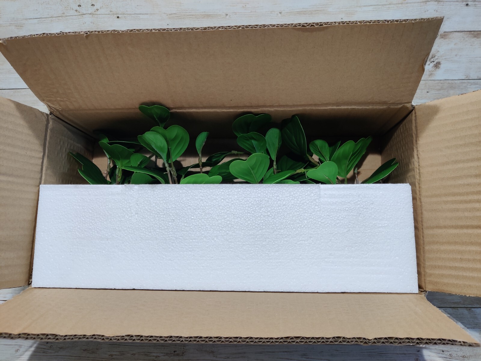 Faux Hoya Heart Potted Plant from Hearth and Hand with Magnolia *4 Pack* 7″ Mini