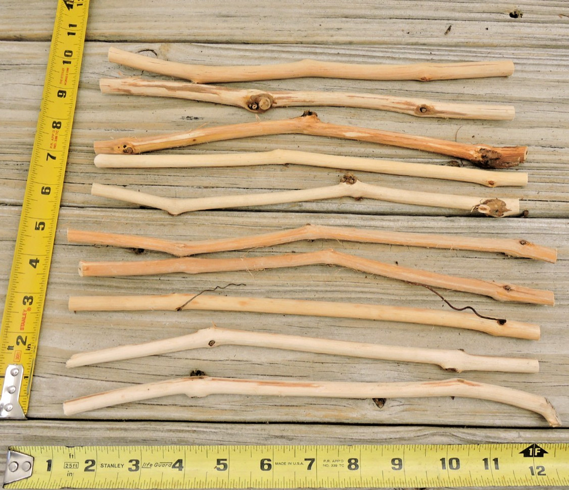 30 Grapevine Wood Stick Section 5/16~7/16″D 10~12″L Driftwood Decor Crafts