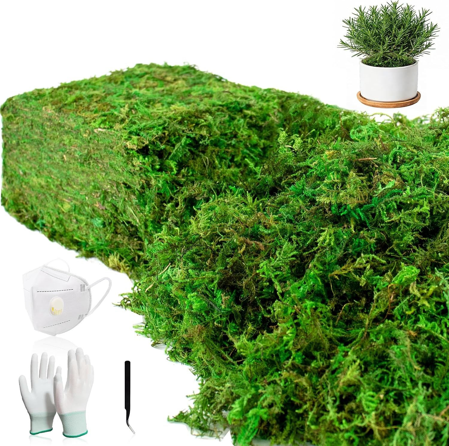 10oz Artificial Fake Green Moss for Crafts Plants Indoor | Includes Gloves
