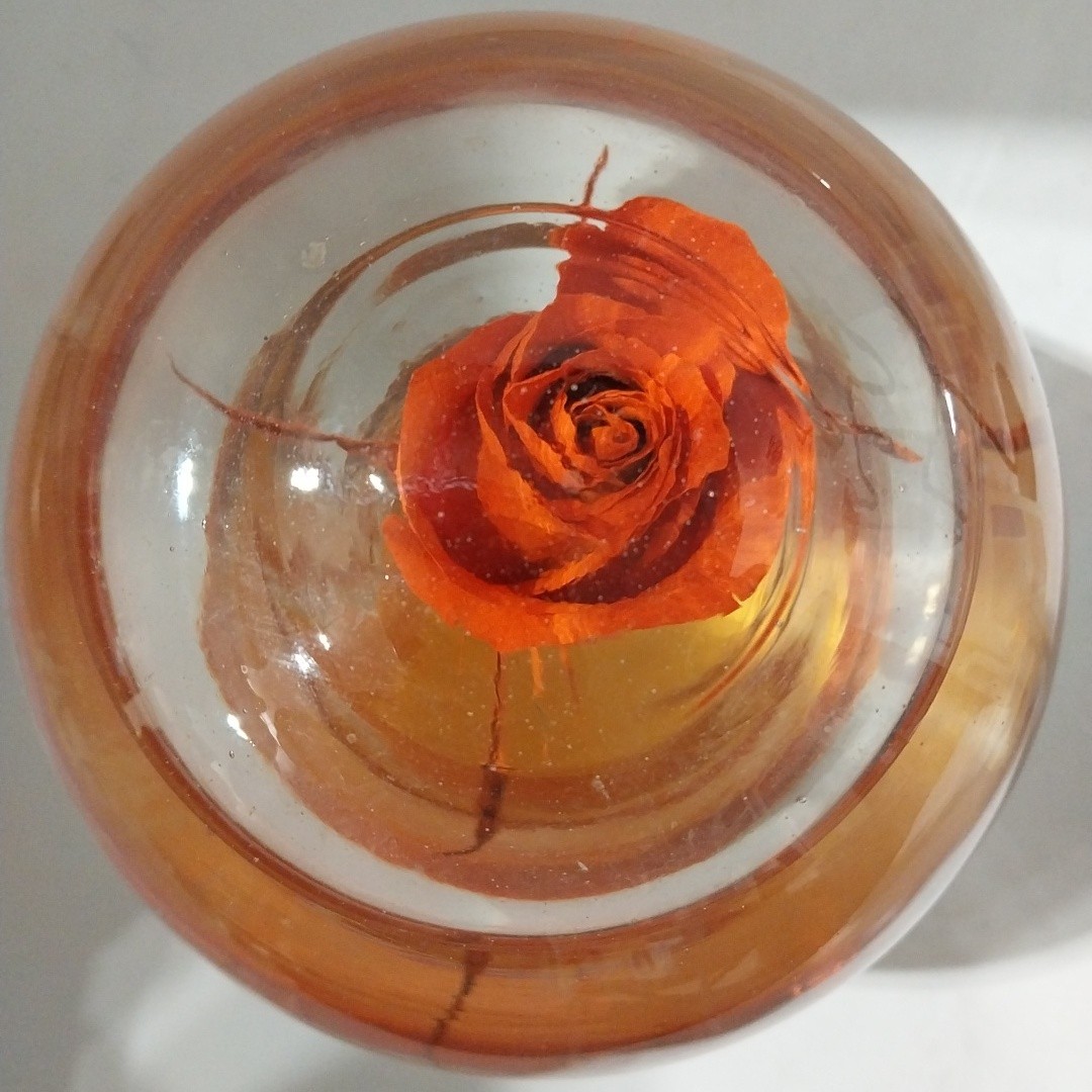 Forever ROSE Preserved In Glass Ball Water Dome Globe Large Real Rose 6×6 in.