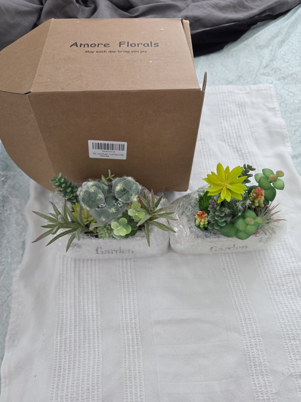 Arnore Florals Artificial Succulent & Cactus Garden Planters Set of 2 4in