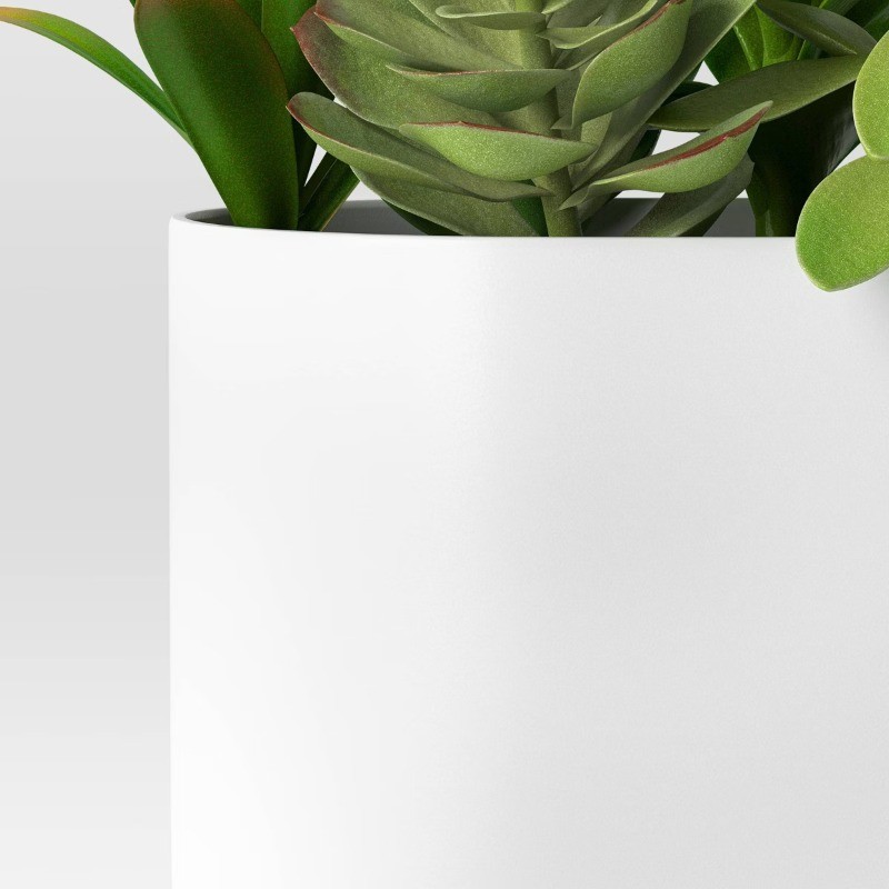 Succulent Arrangement in Long White Pot