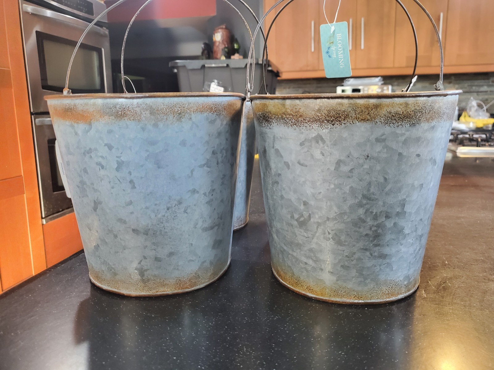 Blooming Spring Metal Containers (4)