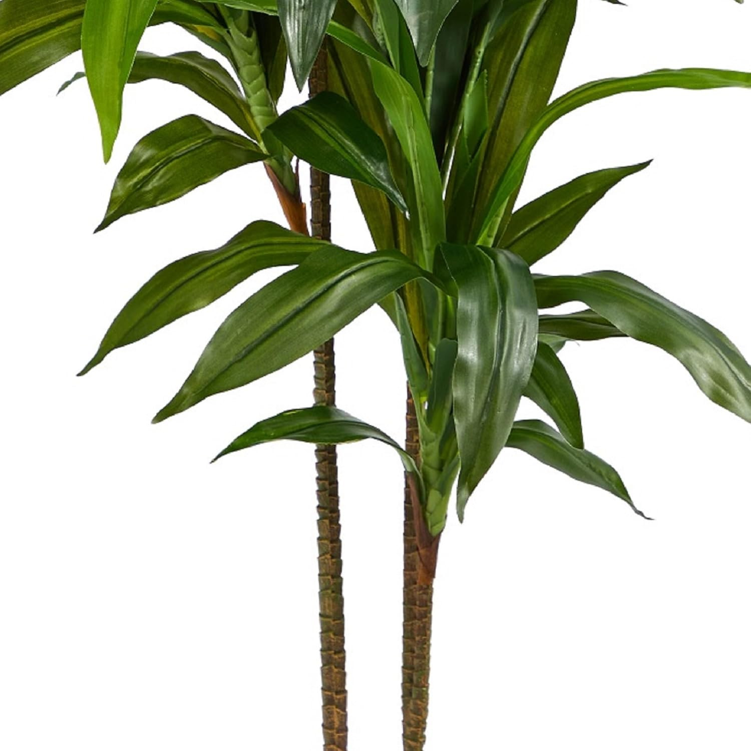 48″ Real Touch Dracaena Silk Plant – Green