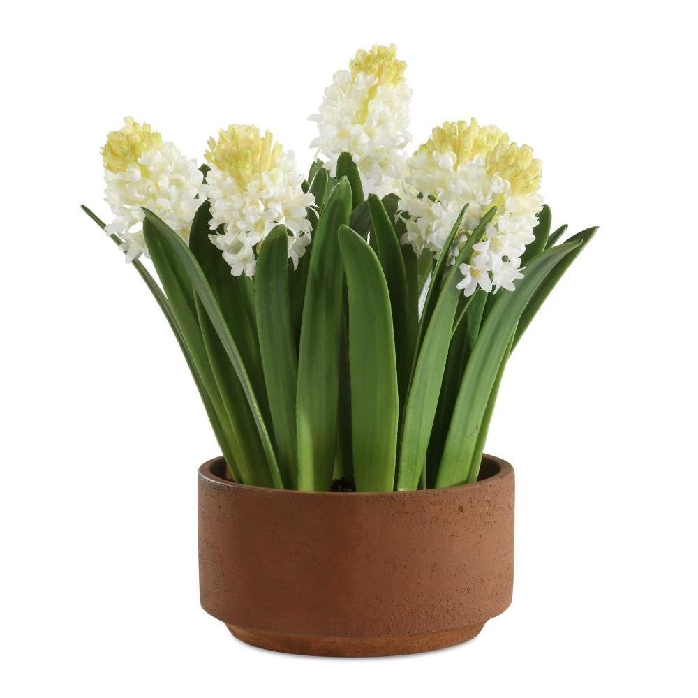 Potted Hyacinth Plant-16.5 Inch Tall and 16.5 Inch Wide – 208-BEL-5325859 –