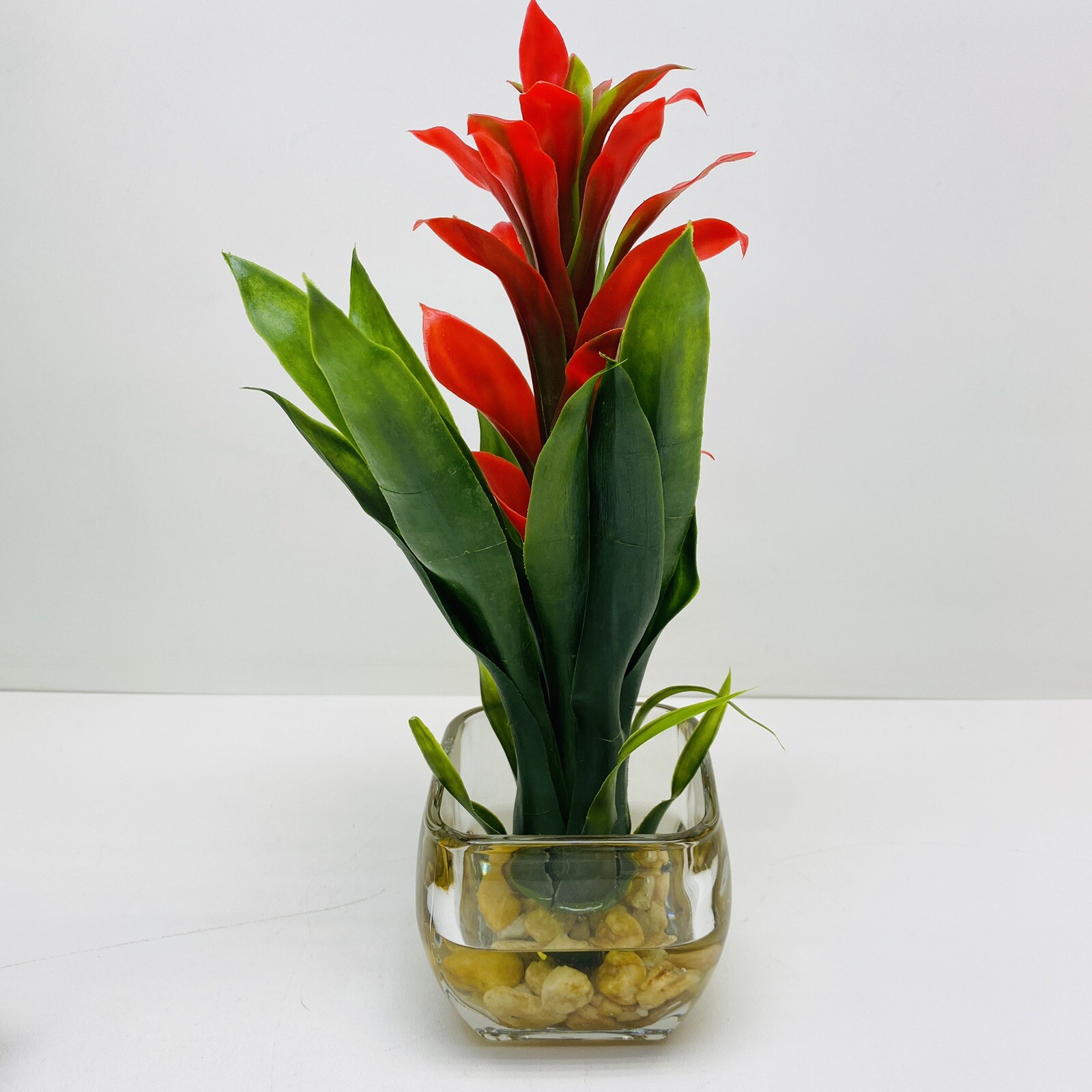 Modern Bromeliad with Glass Vase Arrangement 12″ Red