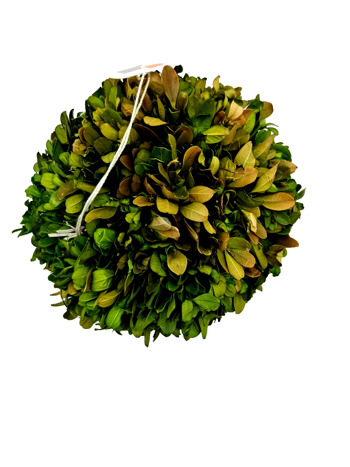 Decorative Permanent Botanicall Boxwood 7-inch Topiary Ball
