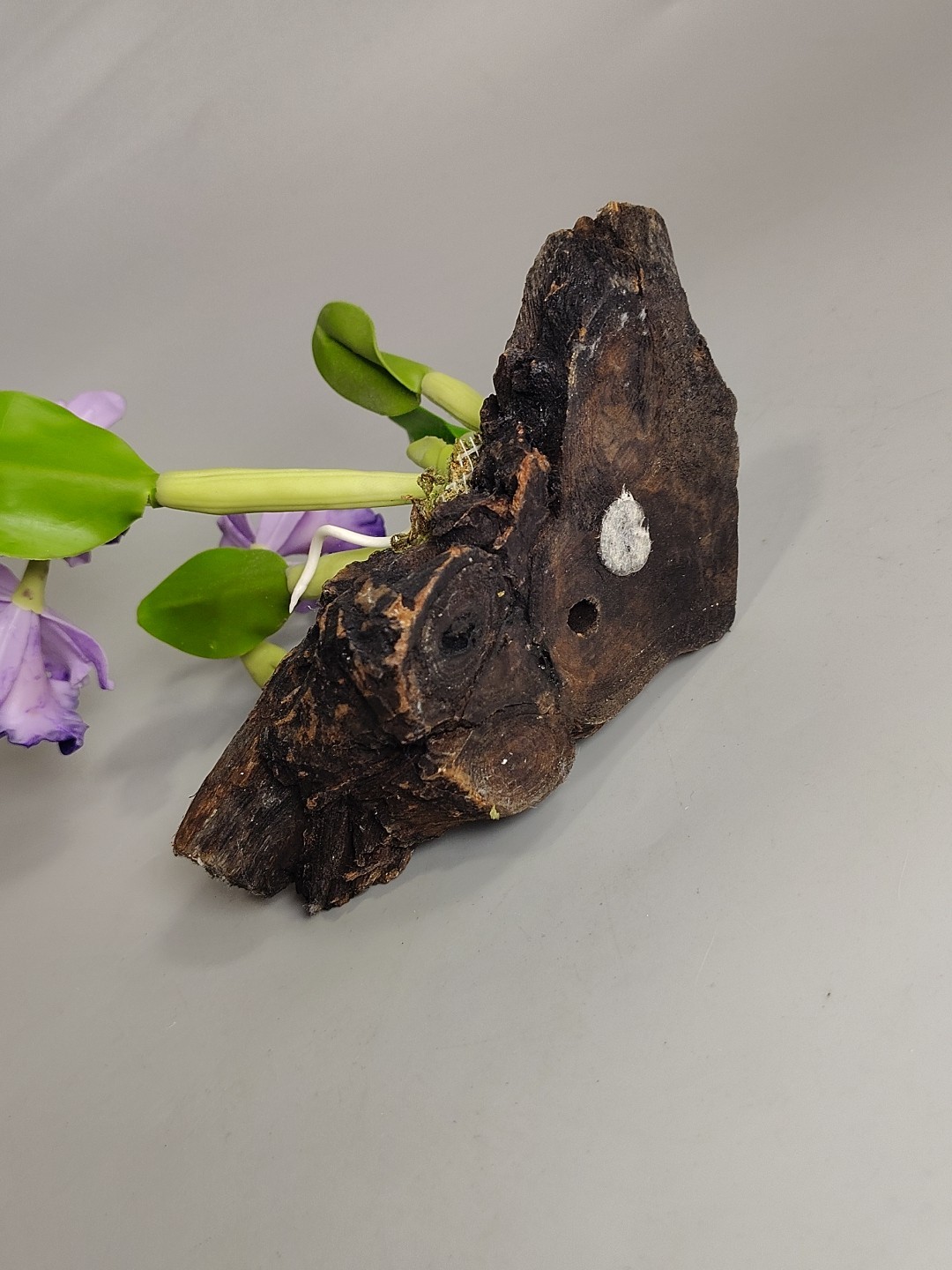 Artificial Realistic Flower Purple Iris Driftwood Moss Decor