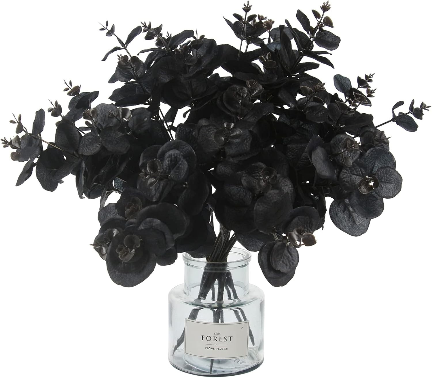 Stunning 5-Piece Black Eucalyptus Stems – Create Elegant Floral Arrangements