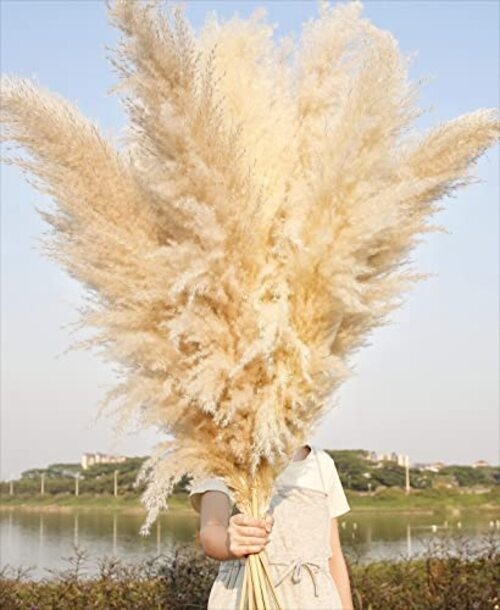 10 Stems 46″ inch Dried Pampas Grass Decor Tall, Large Pompas 10PCS-46inch