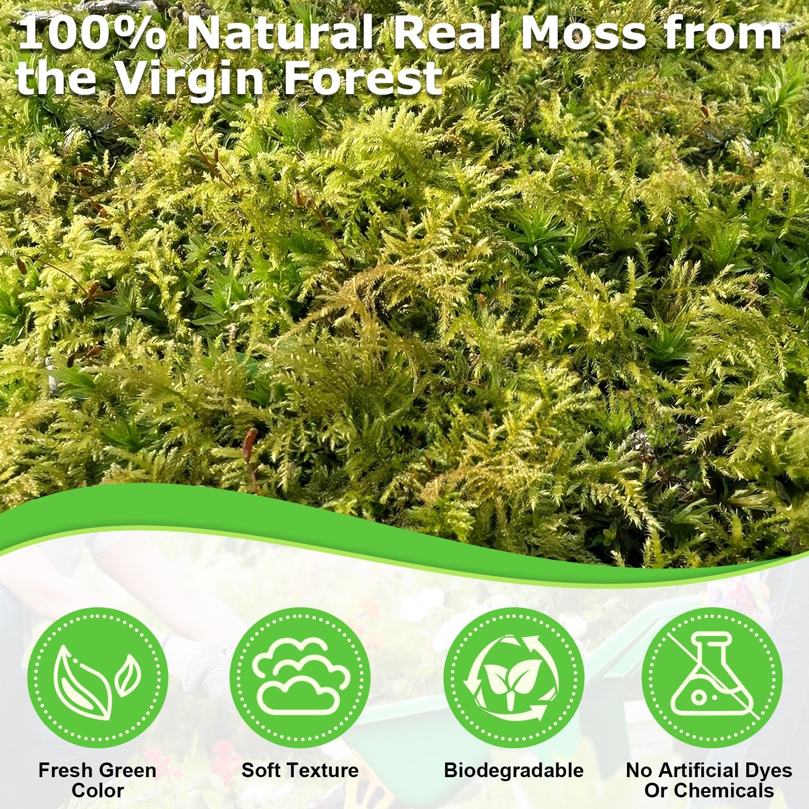 1.3 LBS Green Moss for Plants Indoor, Crafts Moss for Artificial Plants, Deco…