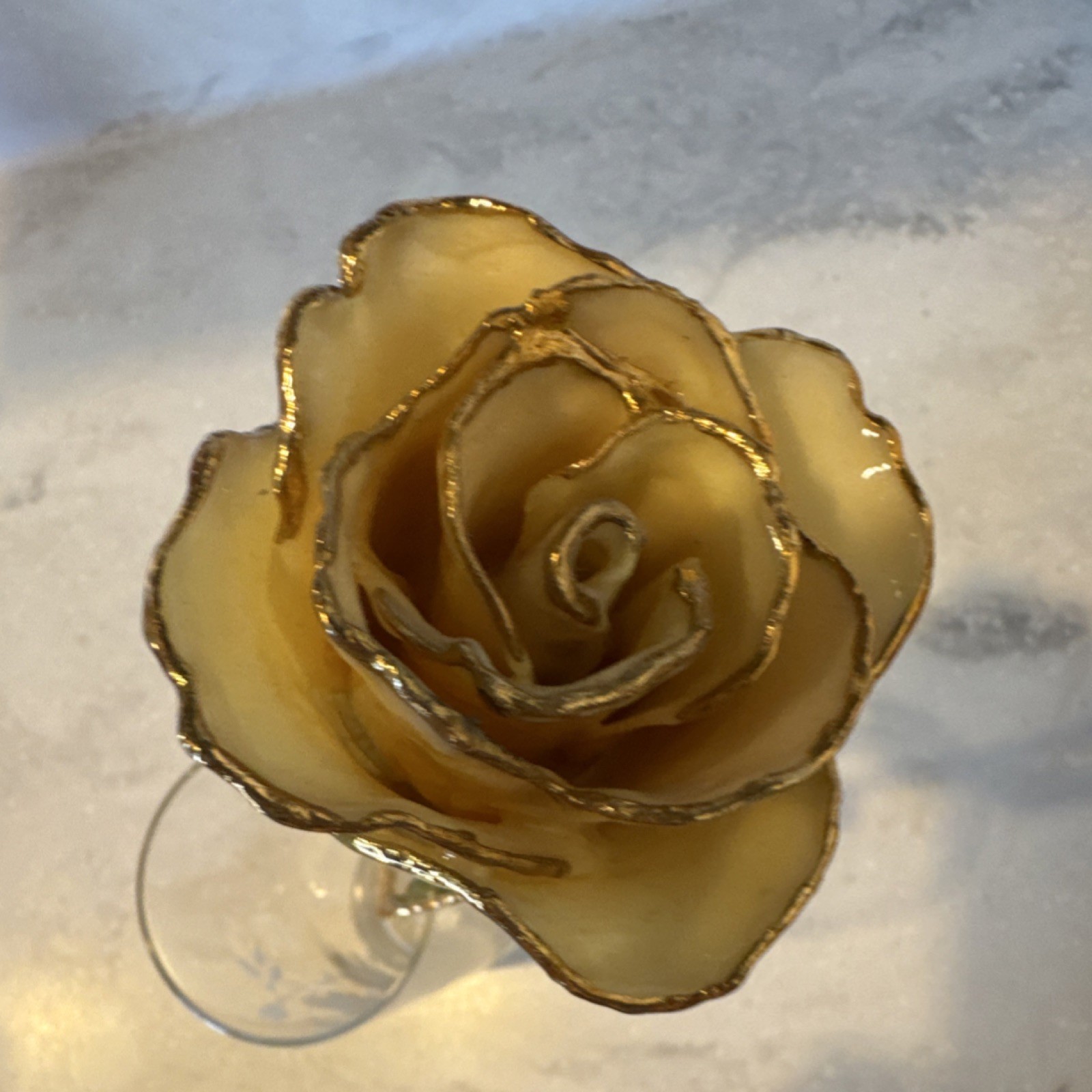 24 Karat Gold Dipped ‘Forever’ Rose