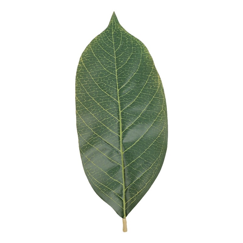Artificial Magnolia Leaves Fake Single Leaf Picks for Magnolia Green Leaves