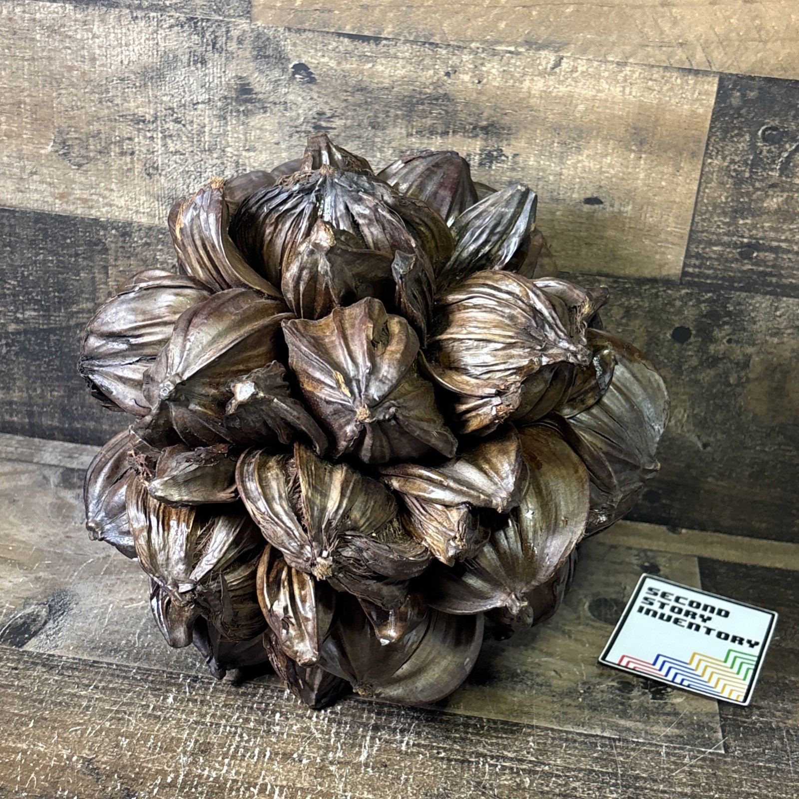 Vietnamese Water Coconut Nipa Palm Fruit Cluster Seed Pod Decor Decoration
