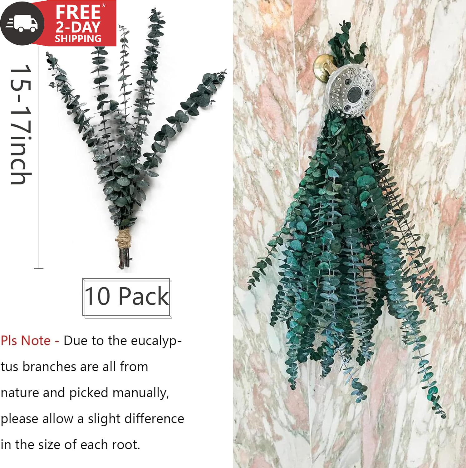 Eucalyptus for Shower 10 Pcs Hanging Dried Eucalyptu Stems 17″ Real Eucalyptus B
