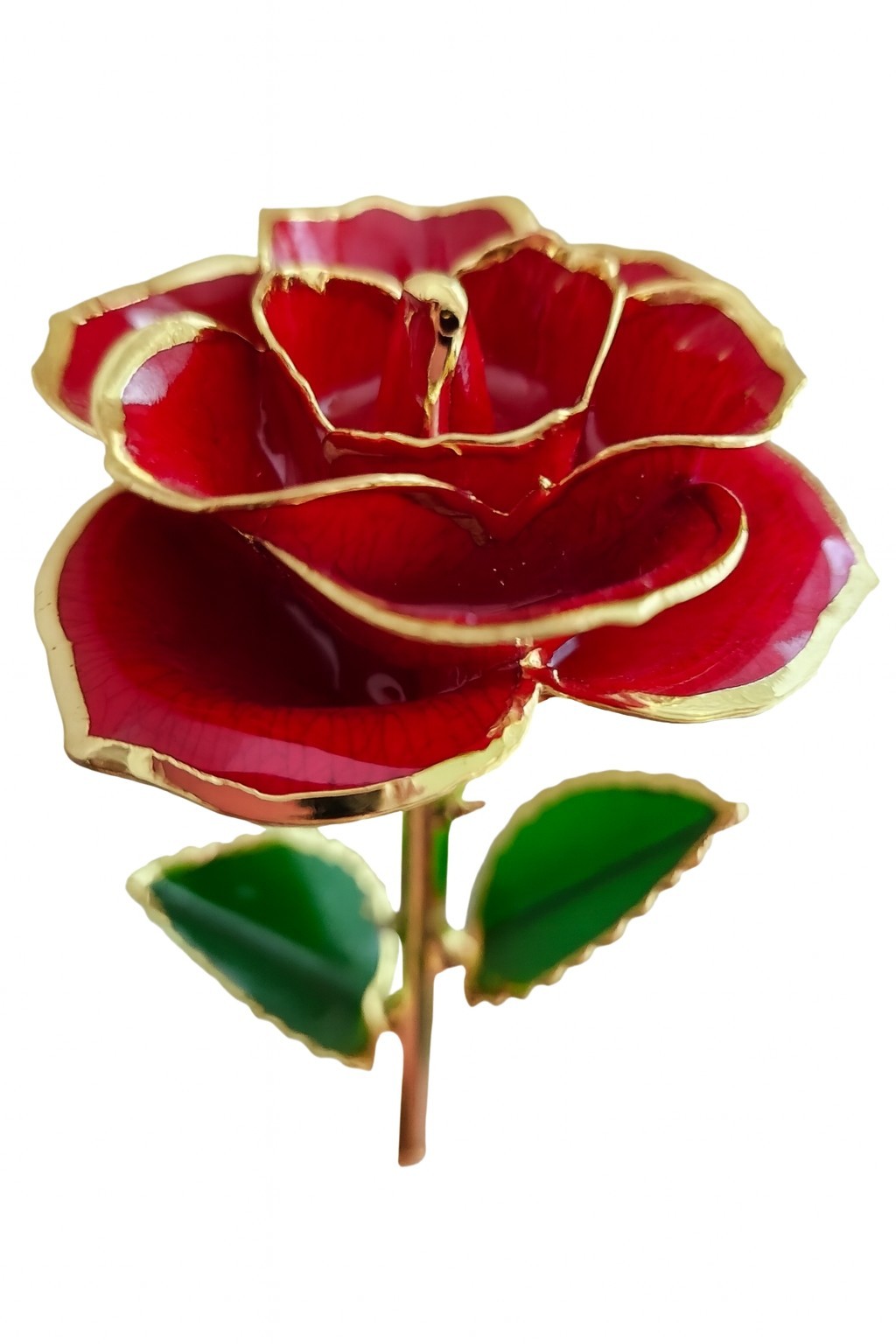 24K Plated Gold Dipped Rose Forever Preserved Red Rose Flower
