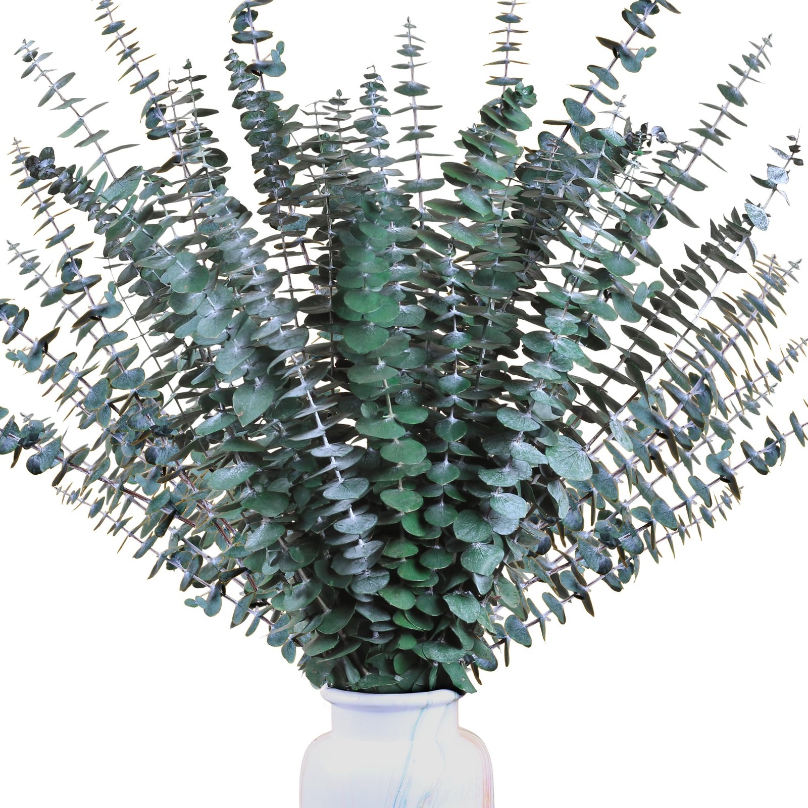 Dried Eucalyptus Stems 30Pcs 17 Inch Real Preserved Branches Home Decor Vase