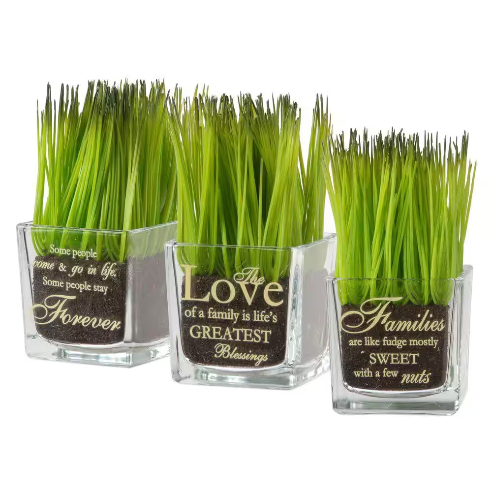 Artificial Assortment-Square Glass Pot Printed Forever, the Love and Families