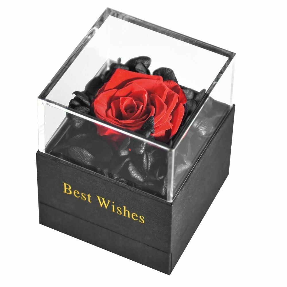 Preserved Fresh Rose Flower Jewelry Box Birthday Wedding Valentine Gifts Womens