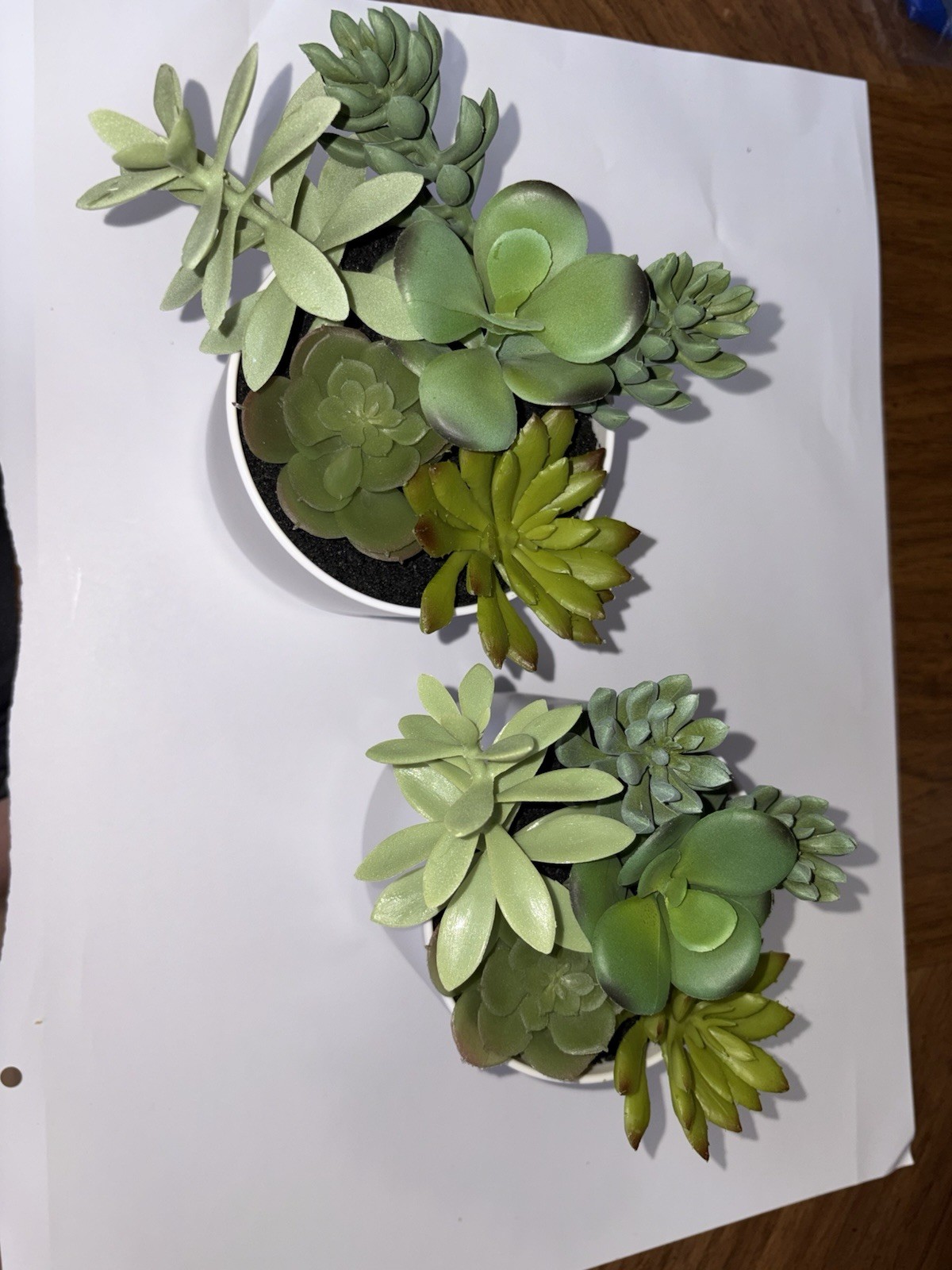 Lot Of 2 Target Potted Faux Plants Perfect For Cubicle Office Work NEW!