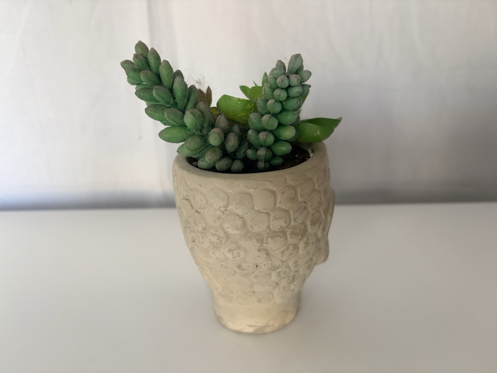 Buddha Head Concrete Modern Planter Faux Succulent Plant Decor Small