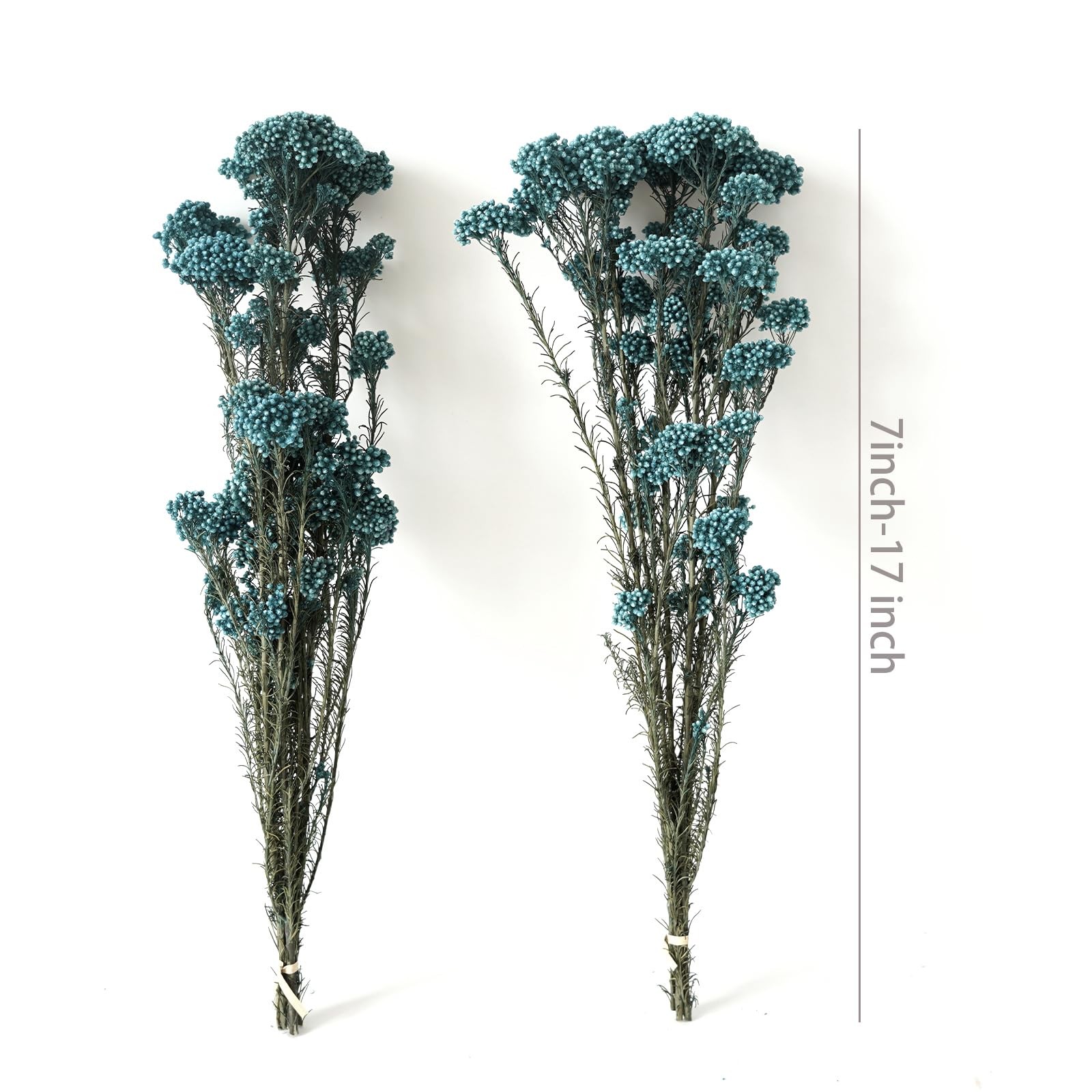 Ocean Blue Natural Preserved Millet Flowers Dried Bouquet Plant Arrangement
