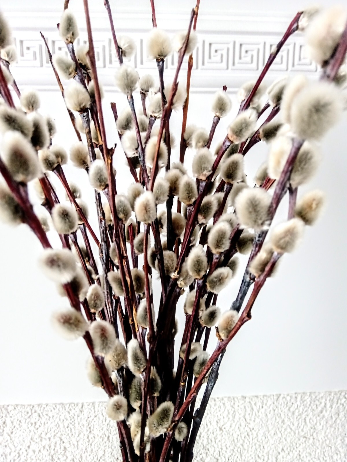 20 St Branch of real dried Pussy Willow Spring Flowers Easter decors Christmas