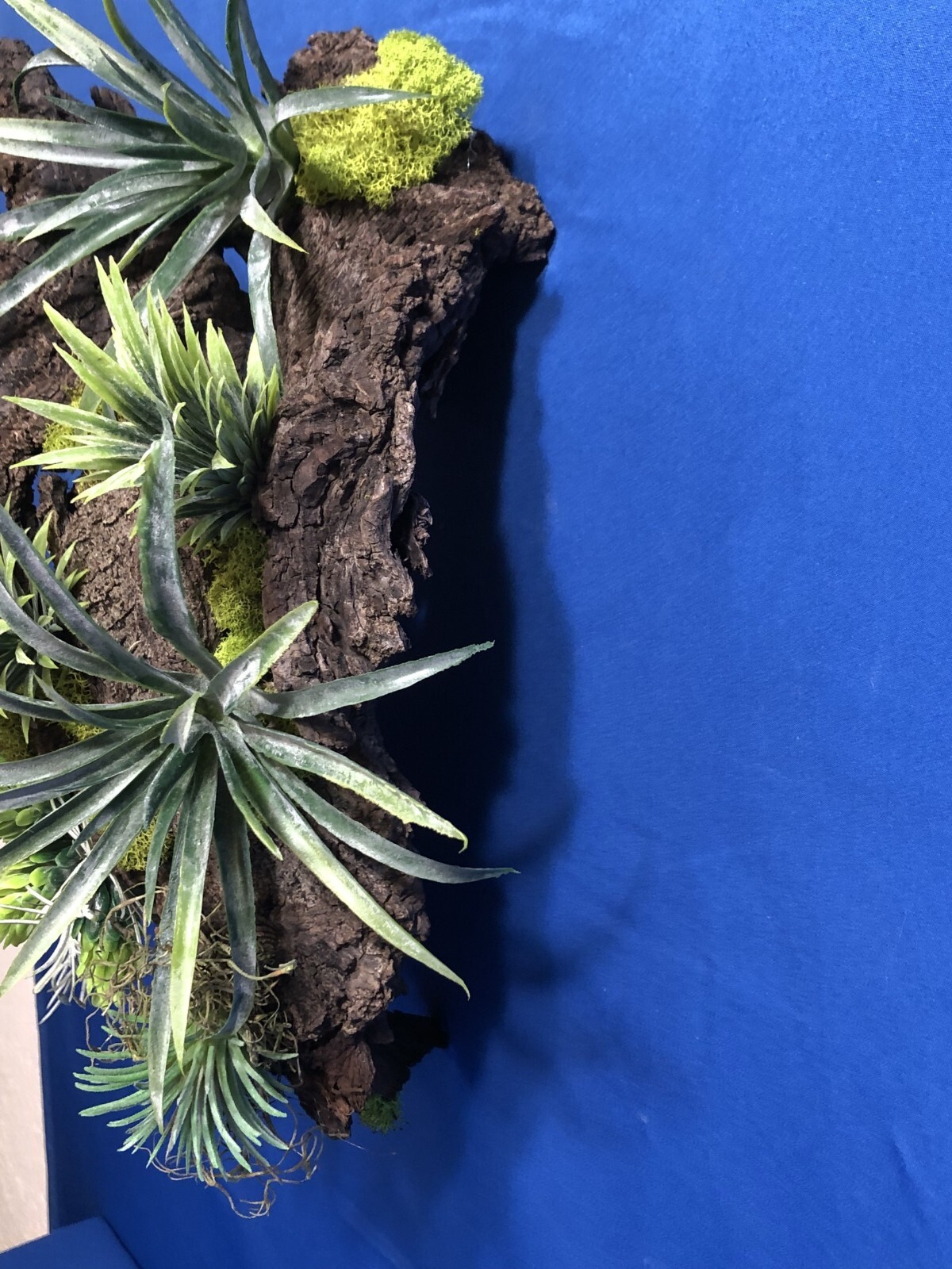 Artificial Succulent Air Plant Wall Art Home Office Mounted on Real Wood Bark