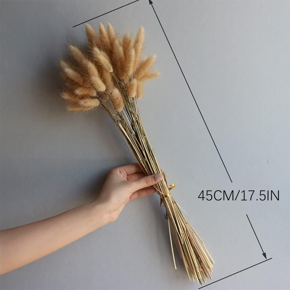 120Pcs 17″ Bunny Tails Dried Flowers Brown Pampas Grass Natural Rabbit Tail Gras