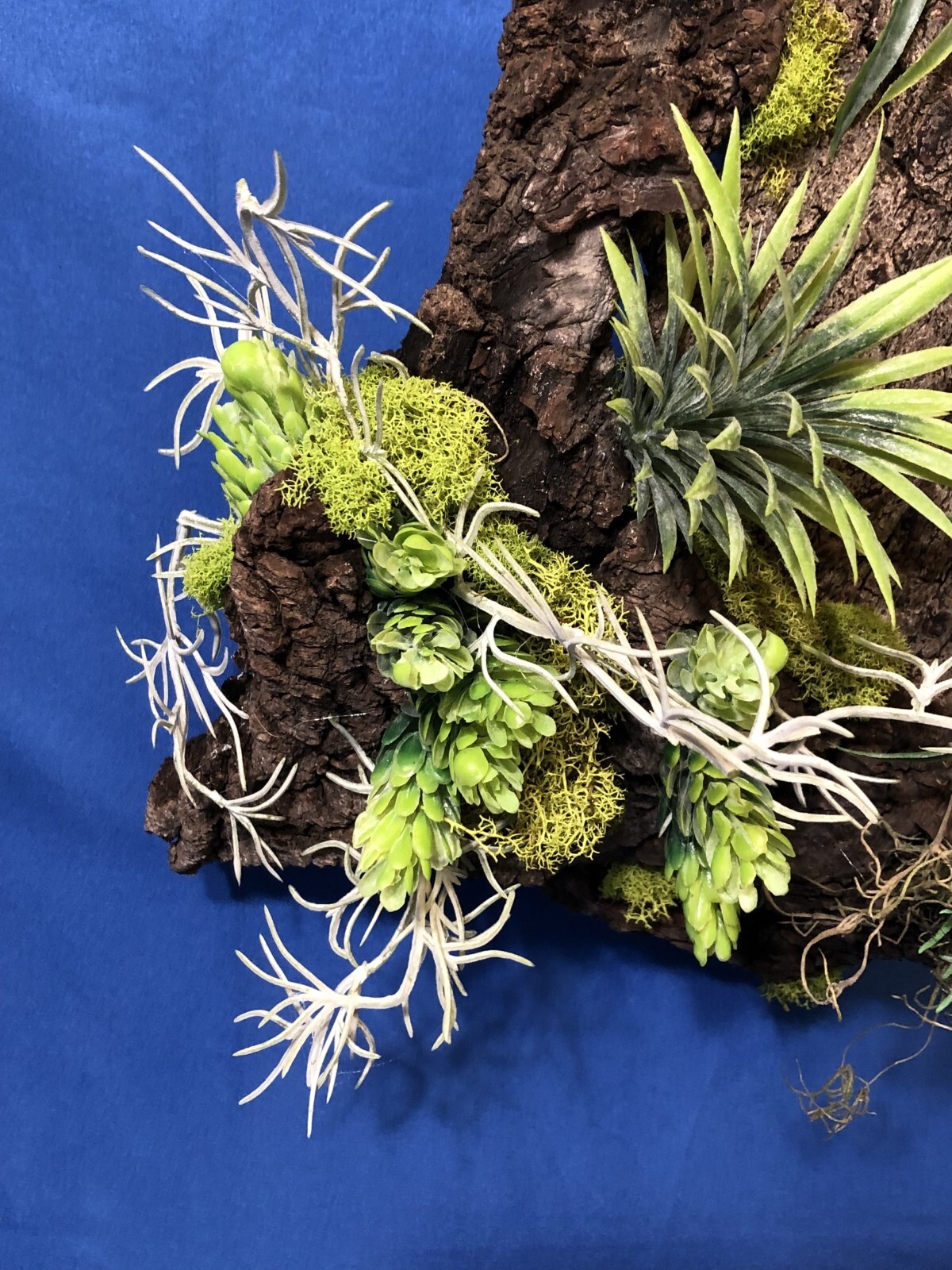 Artificial Succulent Air Plant Wall Art Home Office Mounted on Real Wood Bark