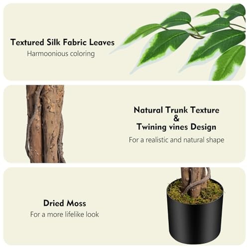 6.2ft Ficus Artificial Trees with 3 Natural Curved Trunks, 74″ Tall 6ft 2in 1