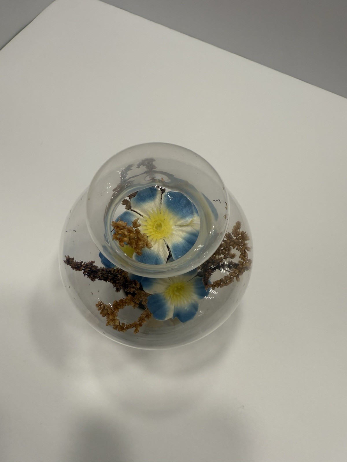 Vintage . Blooming under glass terrarium w/ delicate blossoms &dried foliage