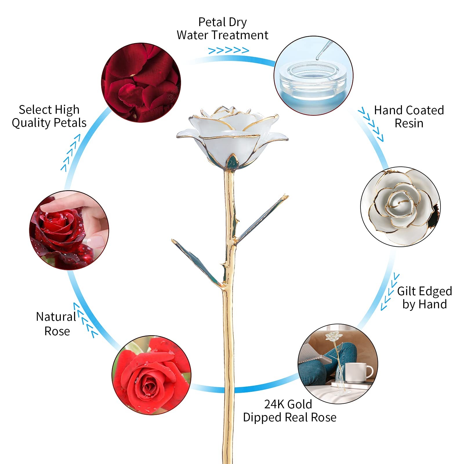 SW White Gold Rose Gifts for Women,24k Gold Dipped Real Rose Lasted Forever with