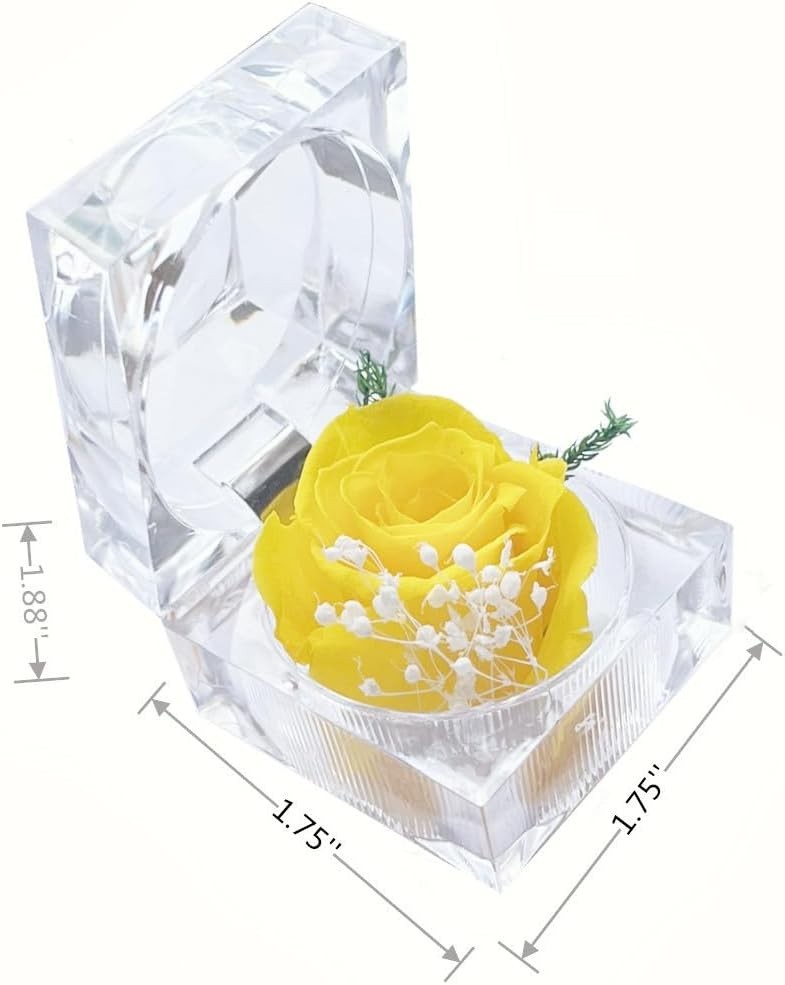 Preserved Rose Real Fresh Rose in Mini Clear Ring Box, Eternal Flower Rose Gifts