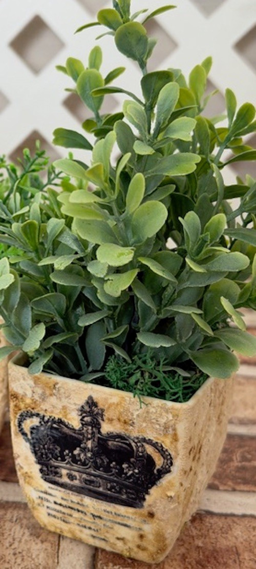 MINI POTTED PLANT 4″ ARTIFICIAL GREENERY W/ FAUX STONE POT (CHOOSE #1, #2 OR #4)